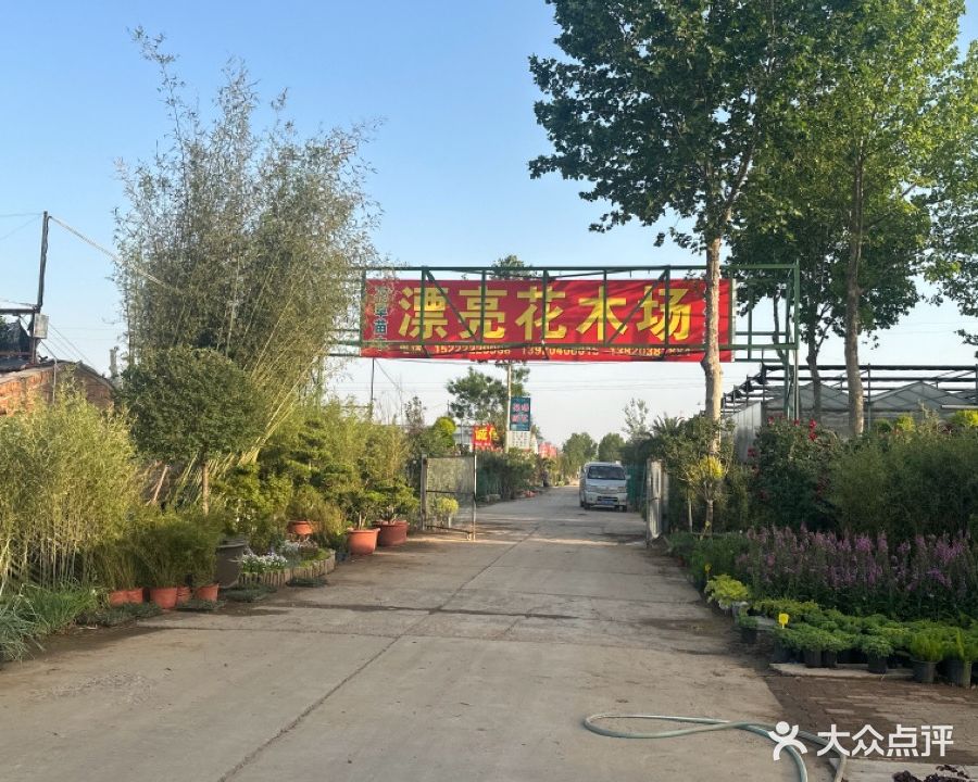 漂亮花木场
