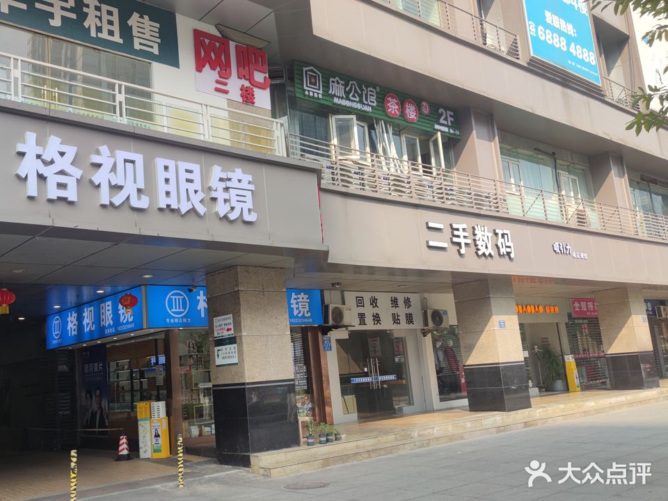 格视眼睛