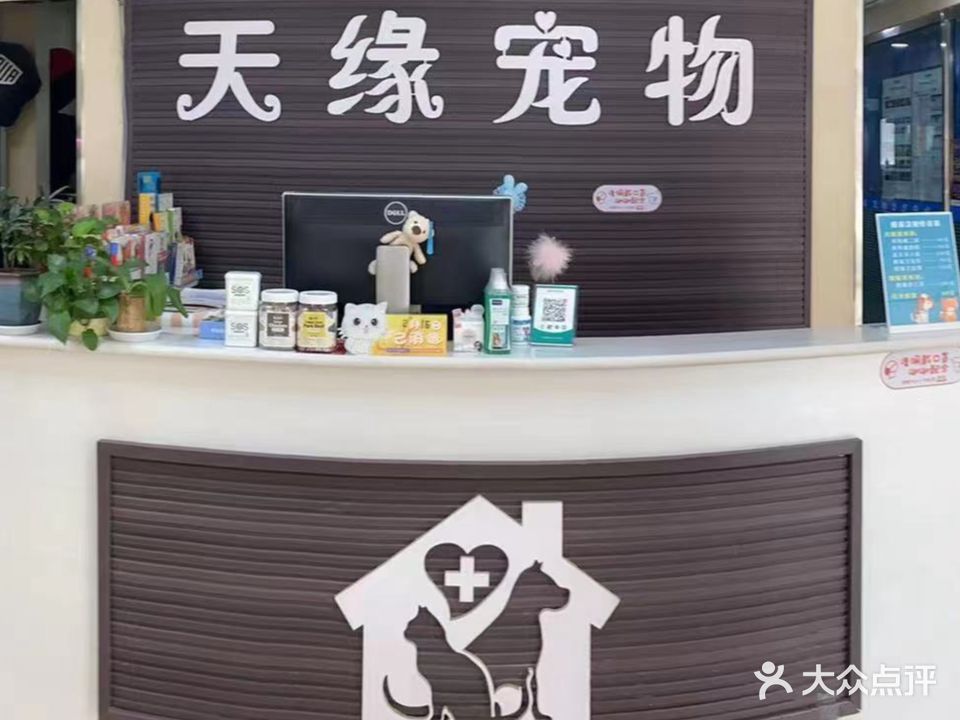 天缘宠物诊疗中心(玉关路店)