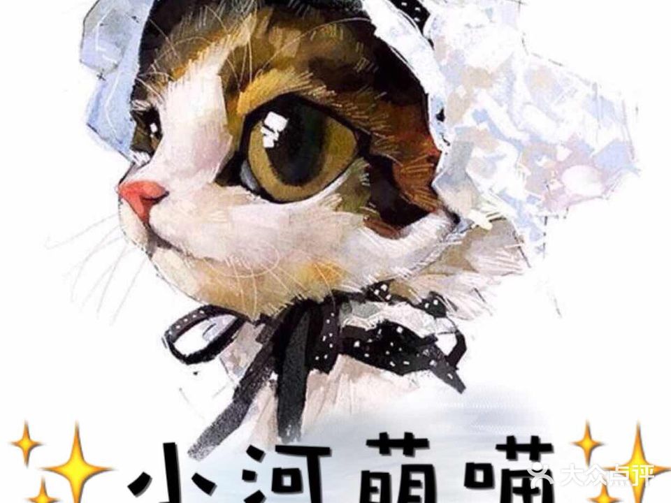 小河萌喵名猫舍(阳光佳园店)