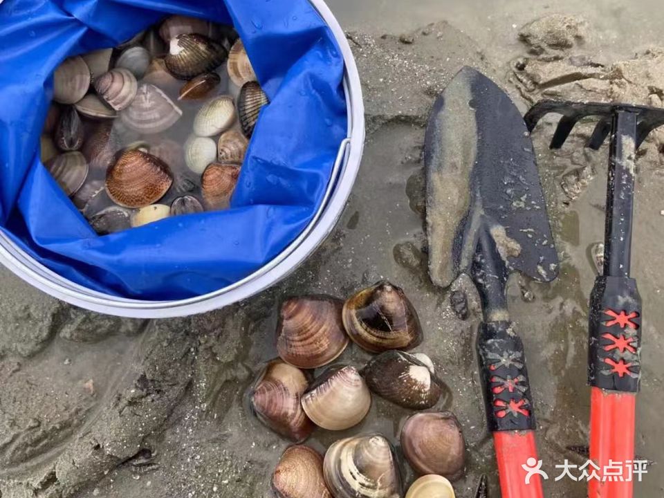 红树林姐妹赶海露营基地