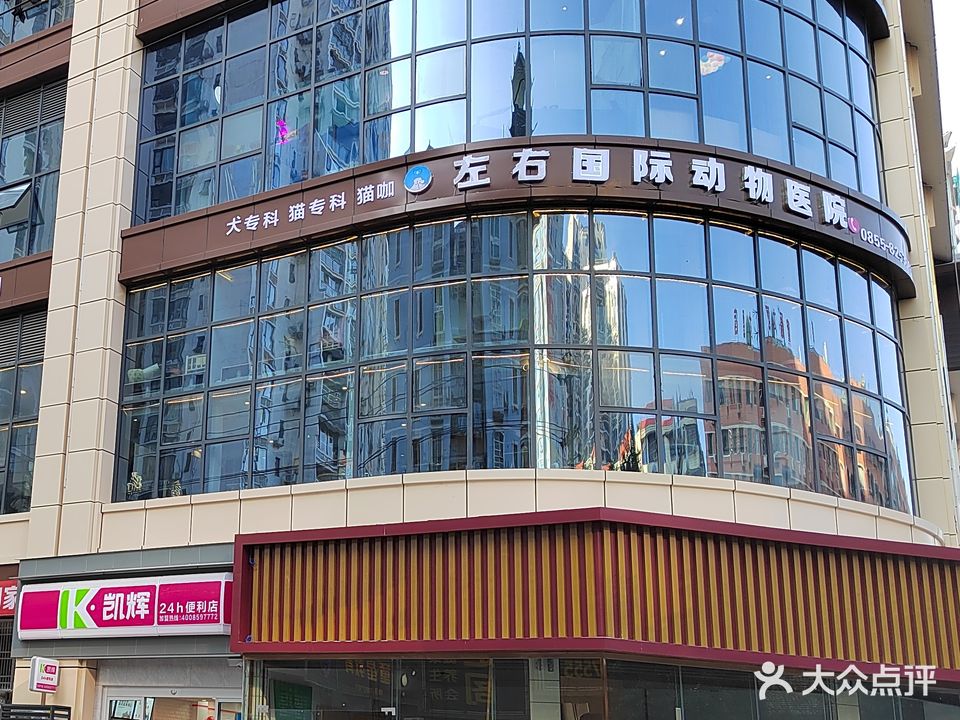 左右国际&动物医院(凯里方圆荟购物广场店)