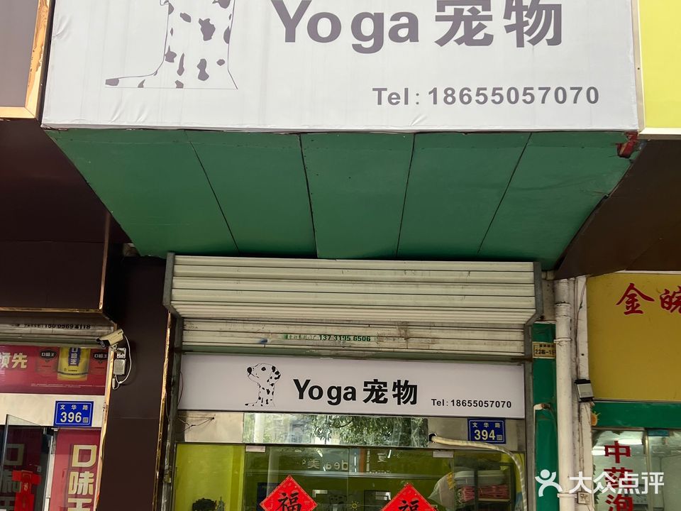 Yoga宠物