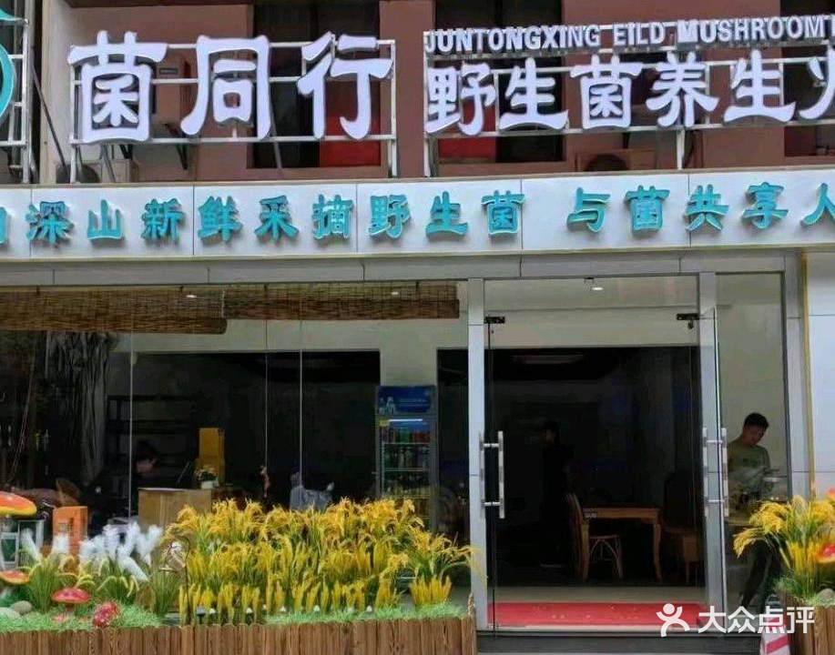 菌乡缘野生菌草帽蒸汽火锅