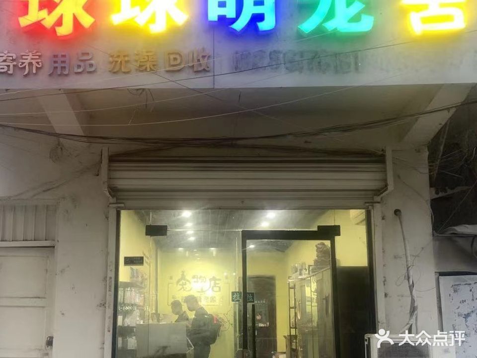 球球萌宠舍