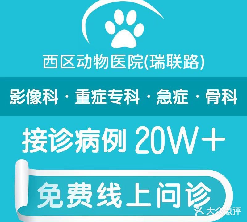 西区动物医院