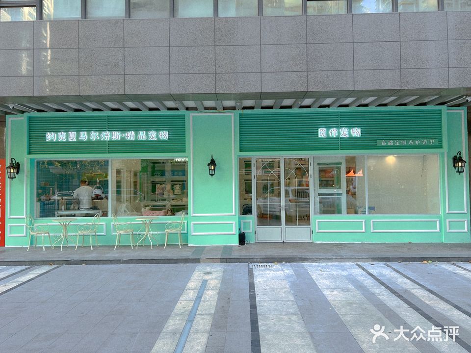 觅伴宠物店·约克夏马尔济斯西施