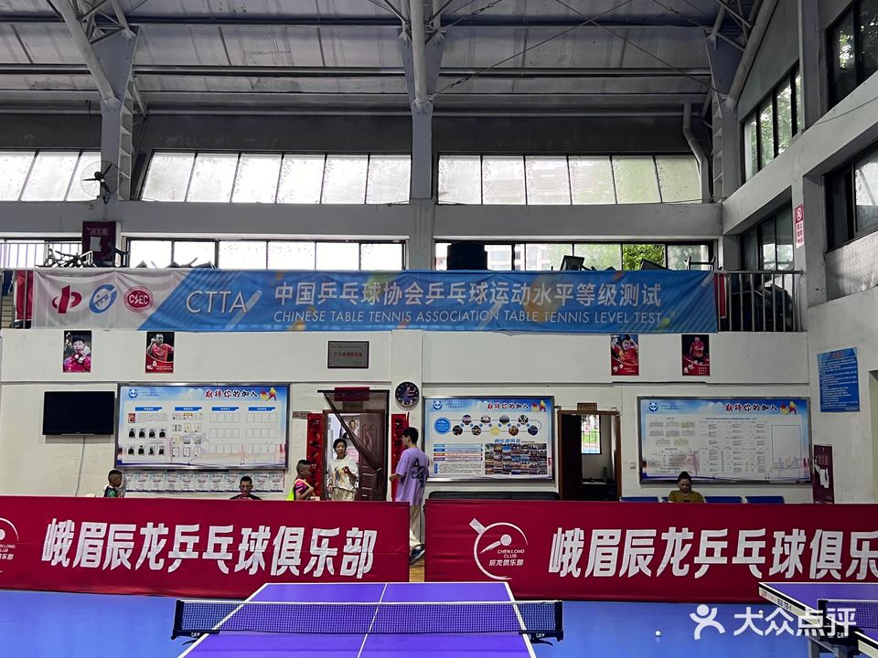 辰龙乒乓球俱乐部(峨眉店)