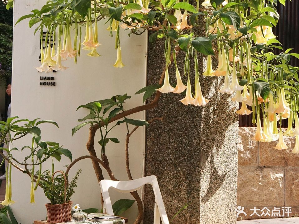 良筑LIANG HOUSE