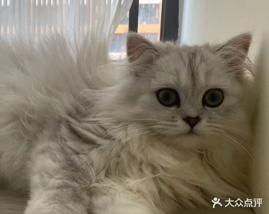 国宠宠物店生活馆(新河东路店)
