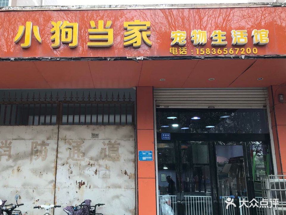 小狗当家宠物生活馆(学府街店)