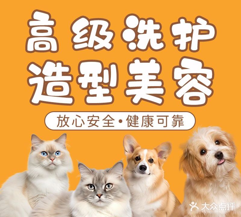 猫叔老师高端宠物生活馆(江汉路M+店)