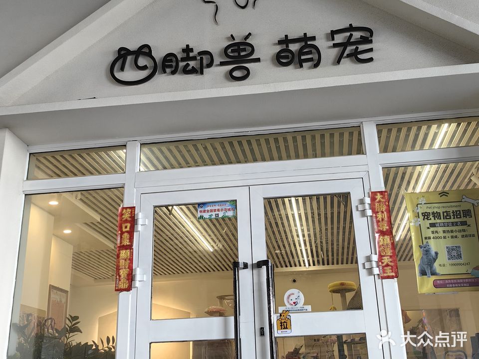 四脚兽萌宠