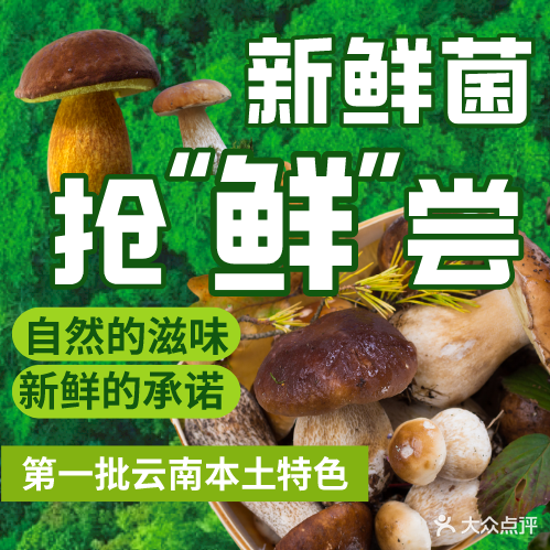 采菇记·铜瓢牛肉野生菌火锅(大理火车站店)