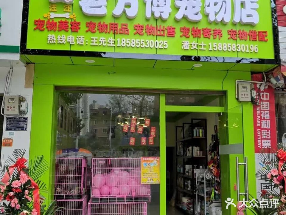 老万博宠物店