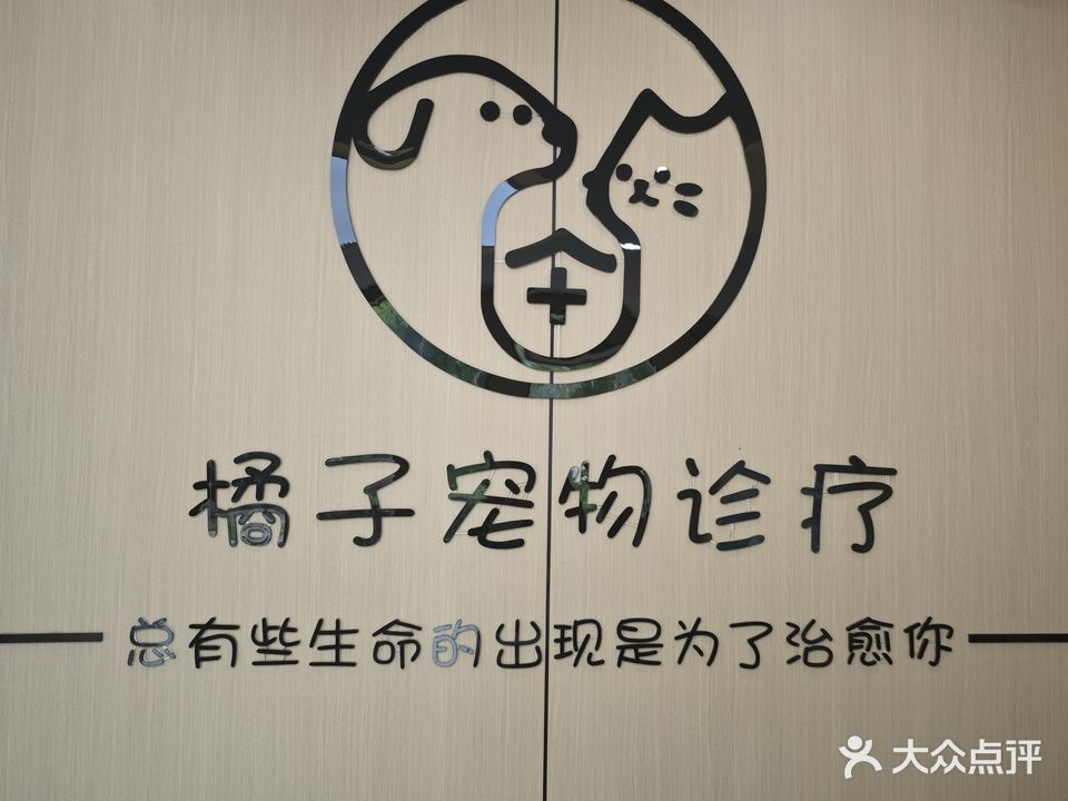 橘子宠物诊部