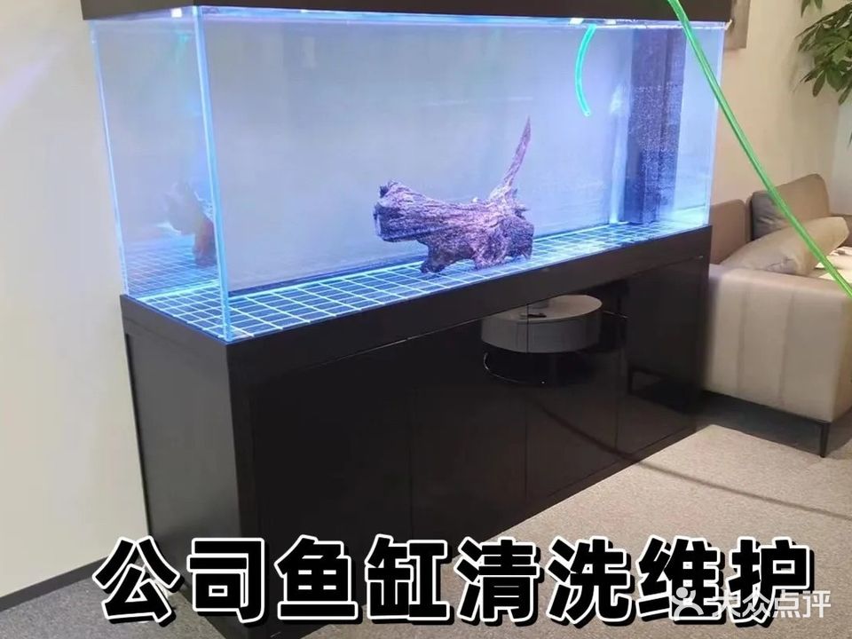 山有丹水族(三合苑店)