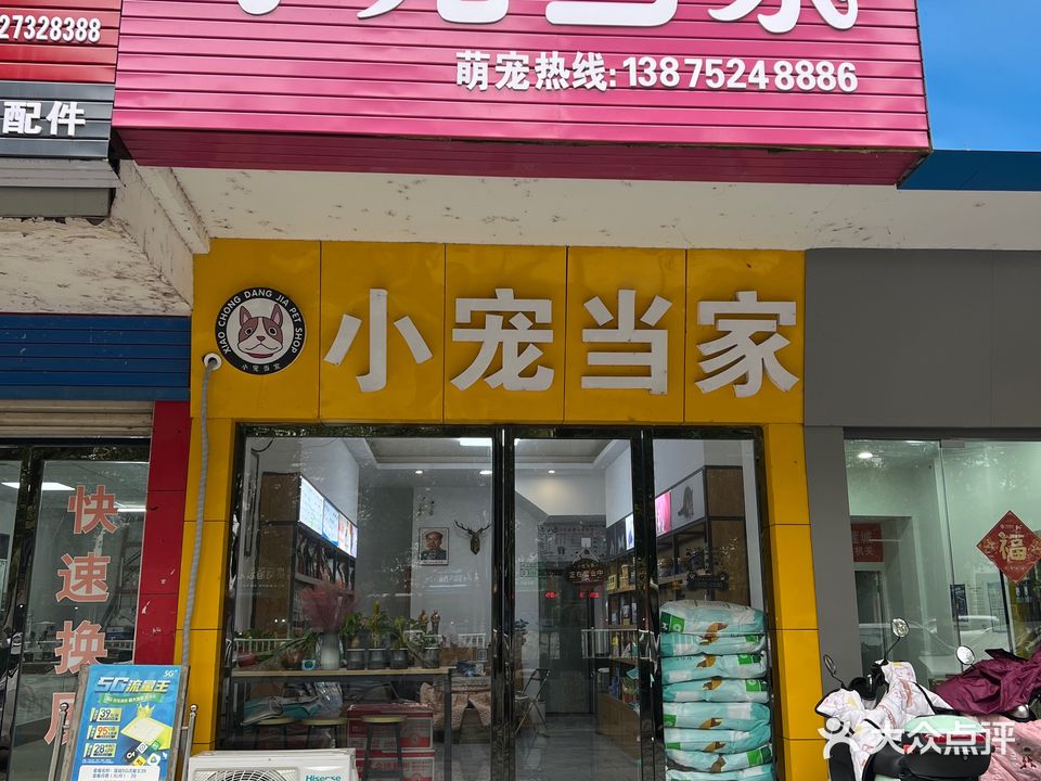 小宠当家宠物馆(凤凰中路店)