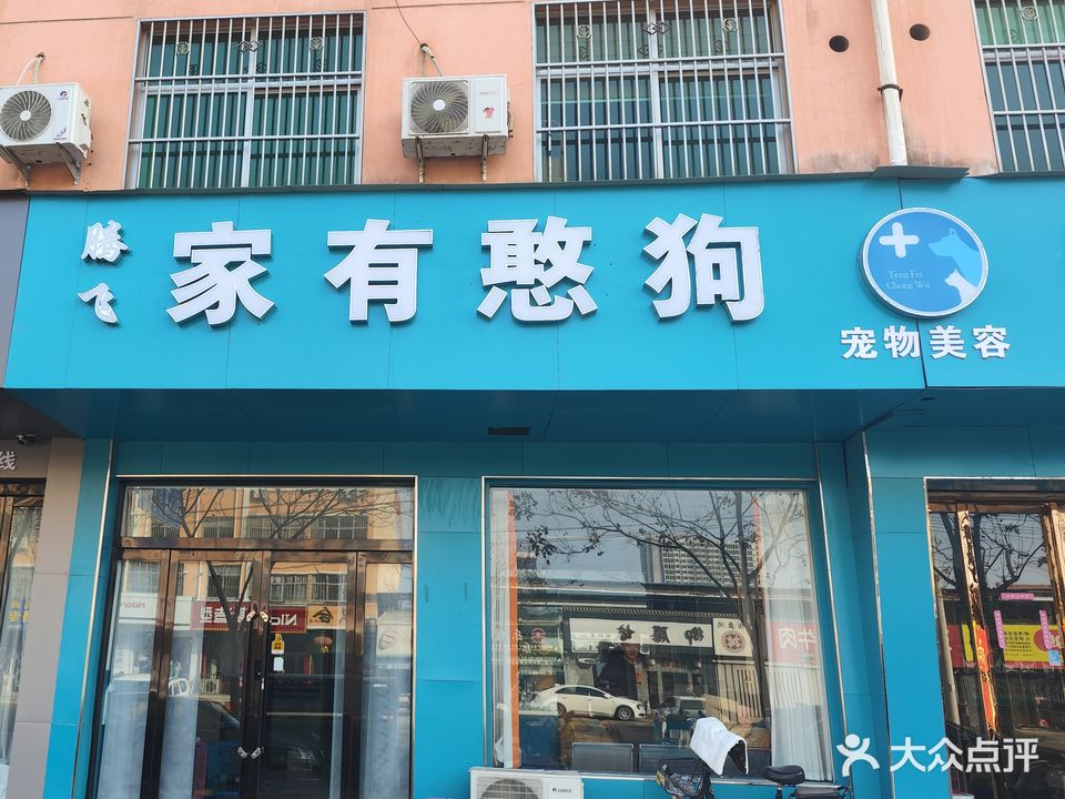 家有憨狗宠物美容(文苑小区店)