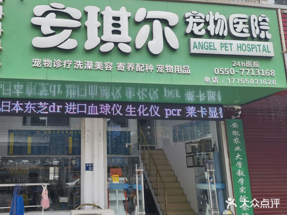 安琪尔宠物医院