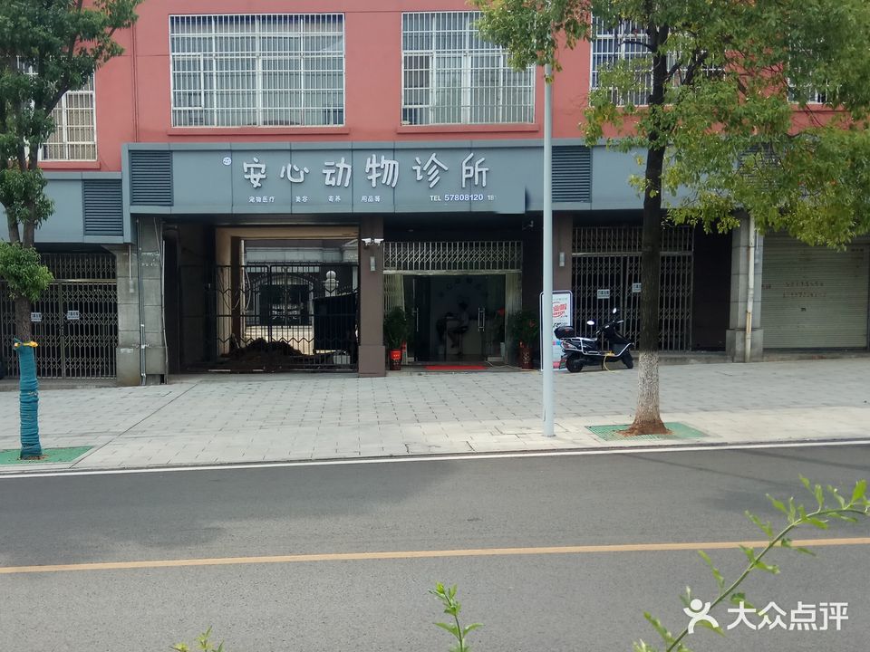 安心动物诊所