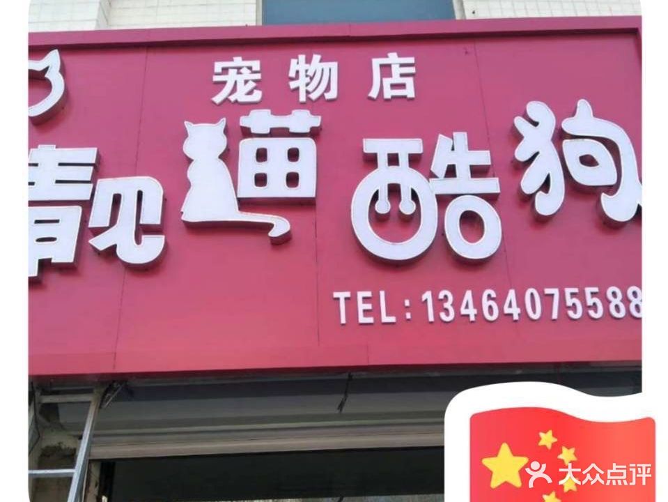 靓猫酷狗宠物店
