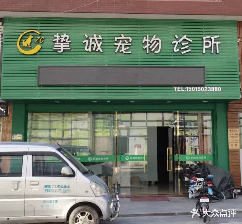 挚诚宠物诊所中兽医专科·针灸专科