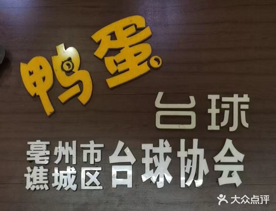 鸭蛋台球(魏武大道店)