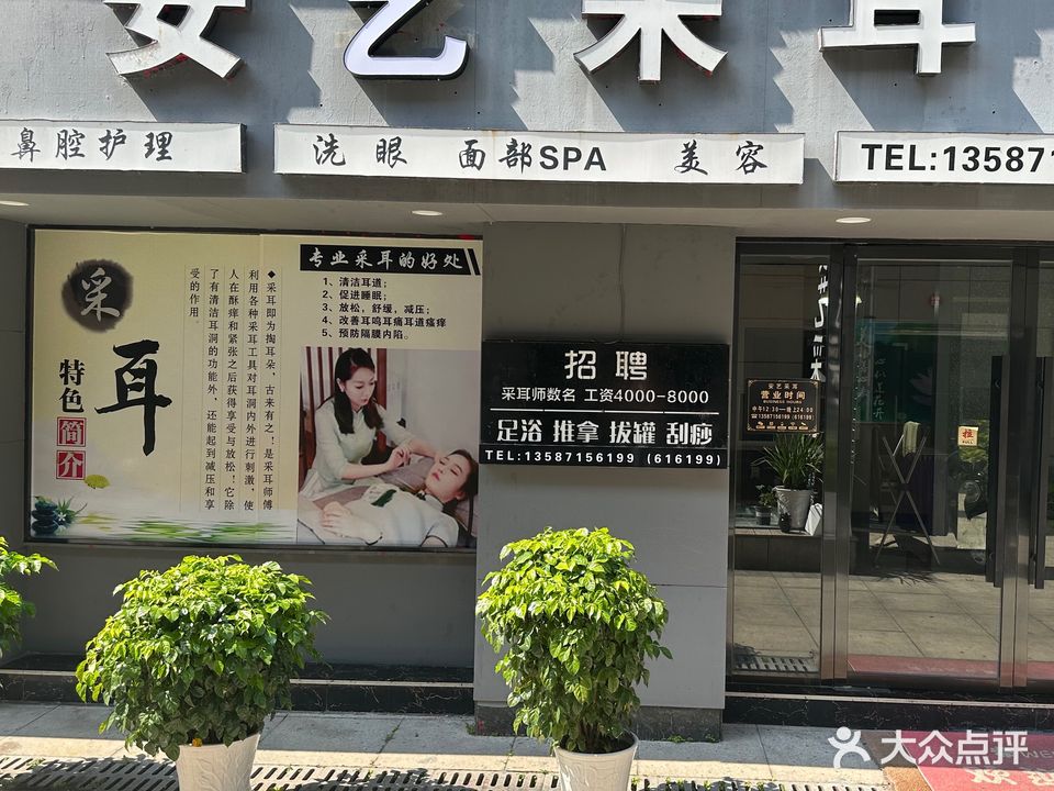安艺采耳