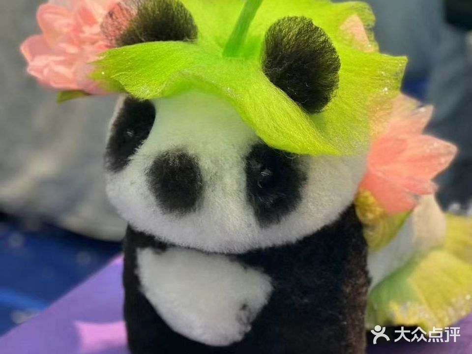 信合宠物生活馆