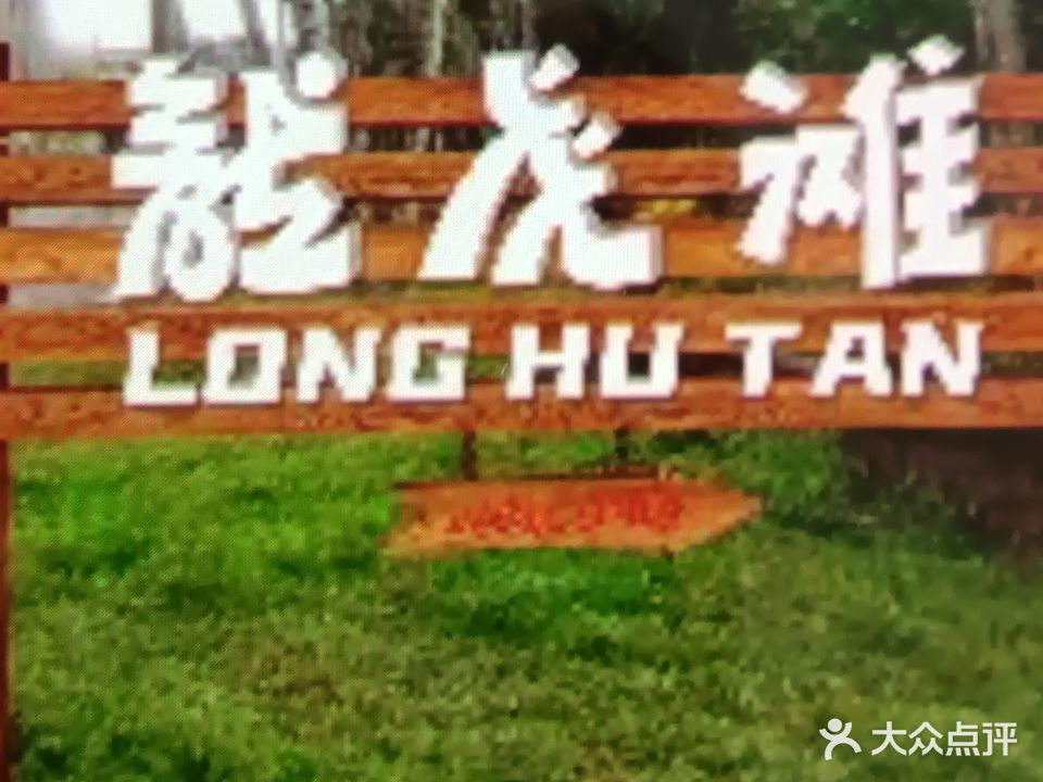 龙江龙虎滩露营基地