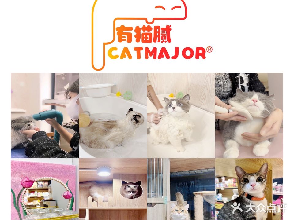 有猫腻CATMAJOR(东方店)