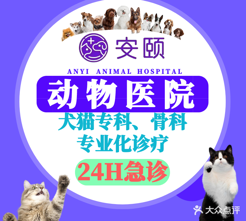 安颐动物医院·犬猫专科·骨科