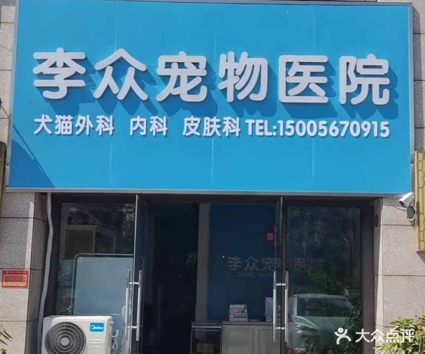 李众宠物医院·猫科专