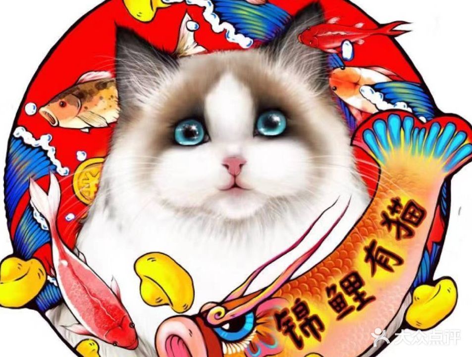 锦鲤有猫宠愈馆(日照芒果时代广场店)