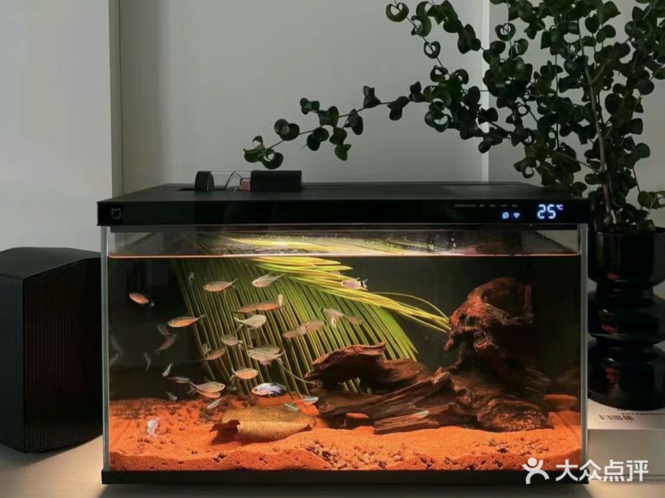 奇趣钓虾水族馆