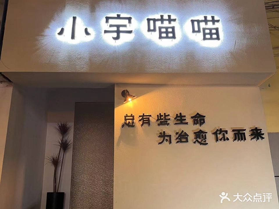小宇瞄瞄宠物店