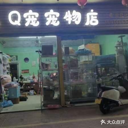 Q宠宠物店