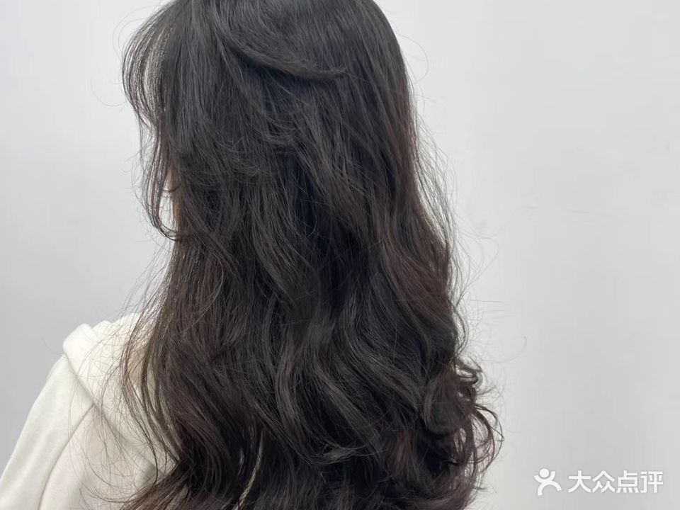 柠檬树HAIRSALON(踏月寺东街店)