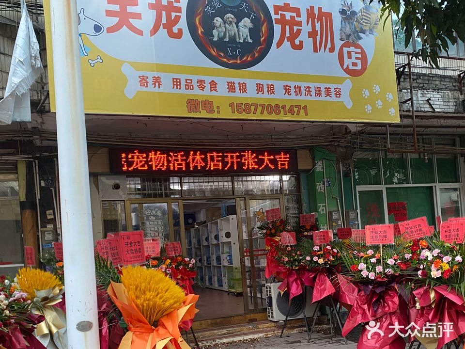 笑宠宠物店