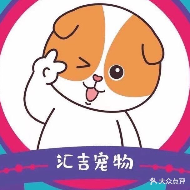 汇吉宠物