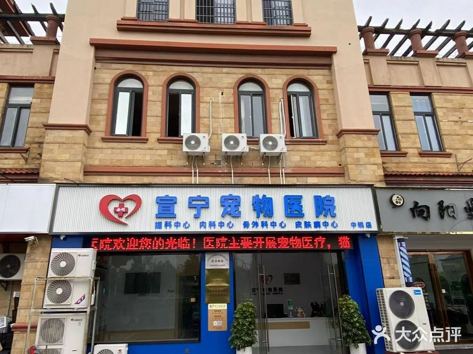 宣宁宠物医院(中锐店)