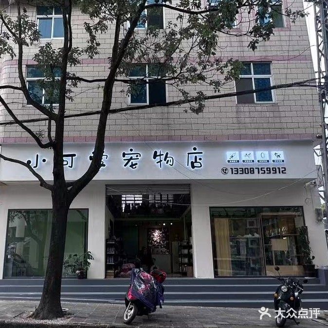 小可爱宠物店