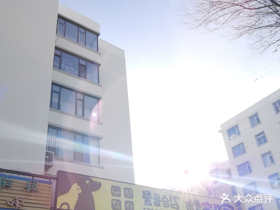 金升宠物(和泰小区店)