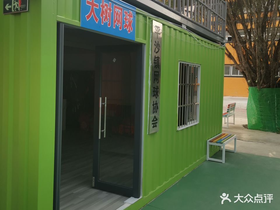 大树网球俱乐部
