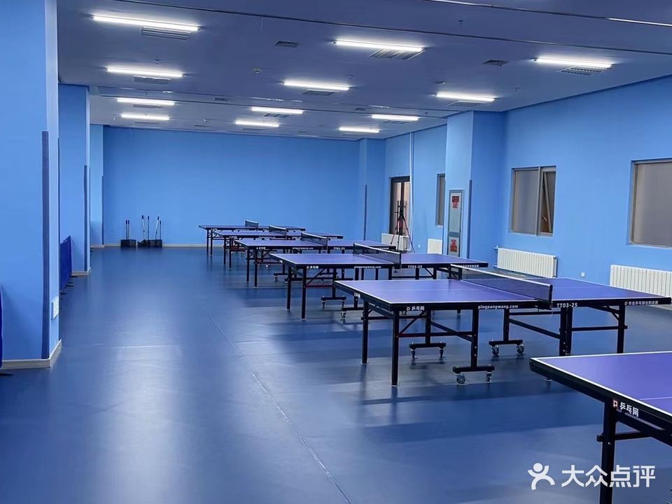学诚乒乓球