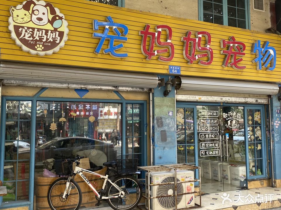 宠妈妈宠物