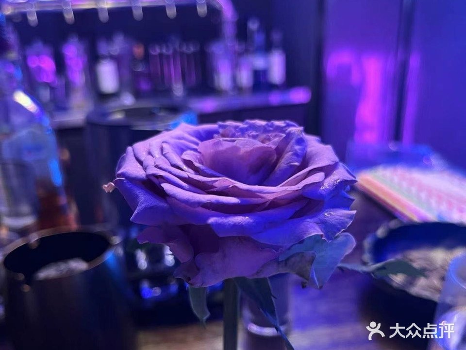 不误正夜微醺酒馆