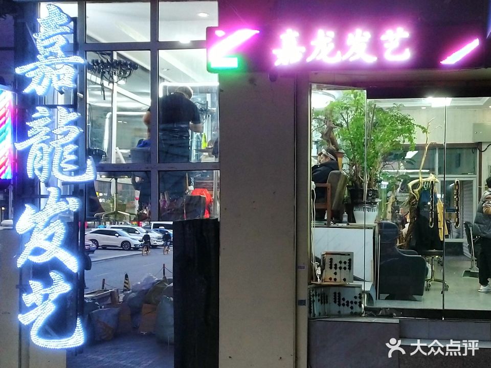 嘉龙发艺(中兴大厦英雄大路店)