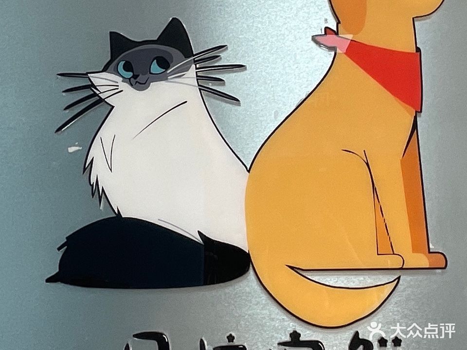 贝拉宠鲜